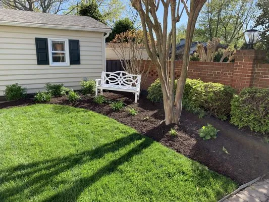 Caribbean Services Logo