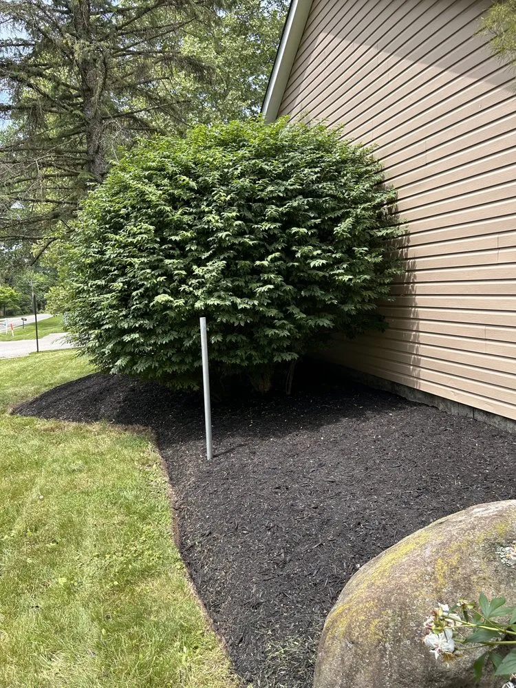 Custom yard cleanup service experts serving Westerville, OH - Carinal Brothers Landscaping