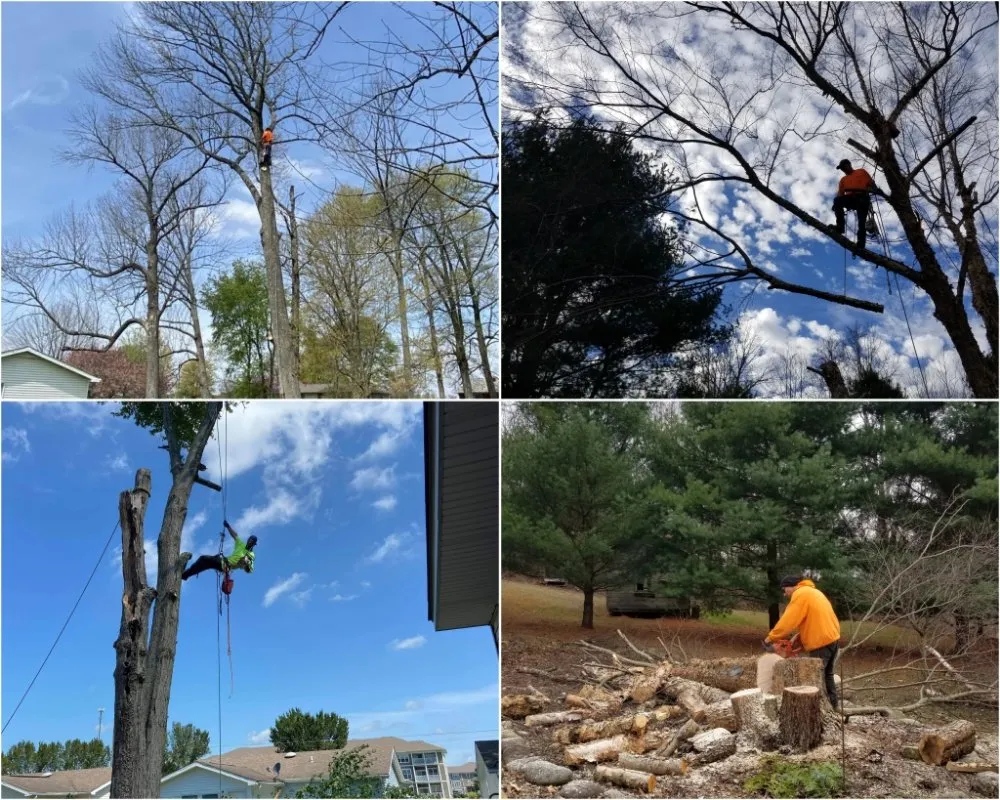 Expert garden landscaping experts serving Sugar Hill, GA - Caring Neighbor Landscaping