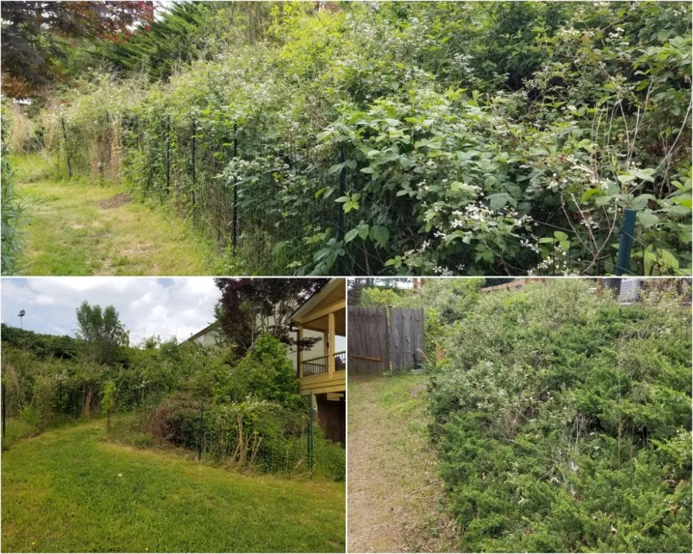 Custom lawn mowing service in Sugar Hill, GA by Caring Neighbor Landscaping