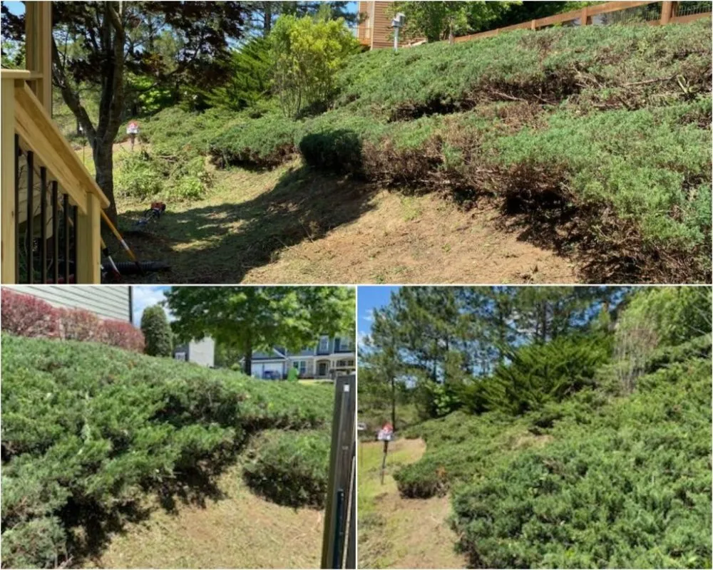 Local lawn mowing service experts serving Sugar Hill, GA - Caring Neighbor Landscaping