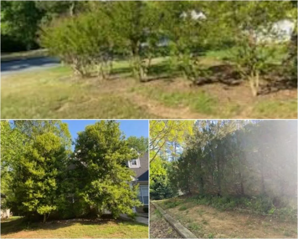 Custom yard maintenance experts serving Sugar Hill, GA - Caring Neighbor Landscaping