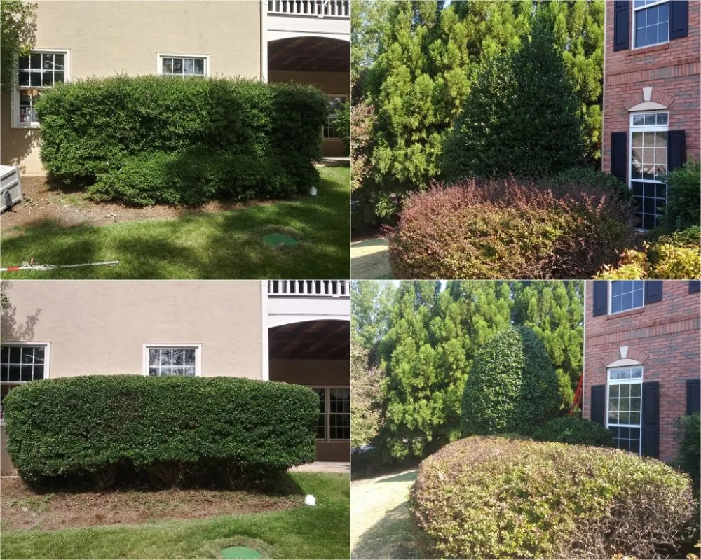 Top-rated lawn care service in Sugar Hill, GA by Caring Neighbor Landscaping