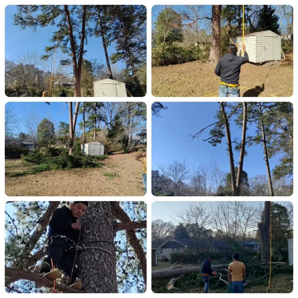 Custom lawn mowing service experts serving Sugar Hill, GA - Caring Neighbor Landscaping