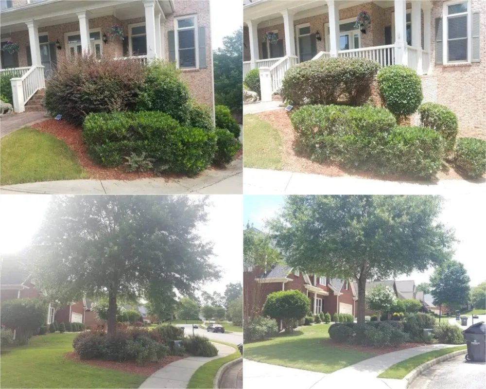 Reliable yard cleanup service in Sugar Hill, GA - Caring Neighbor Landscaping