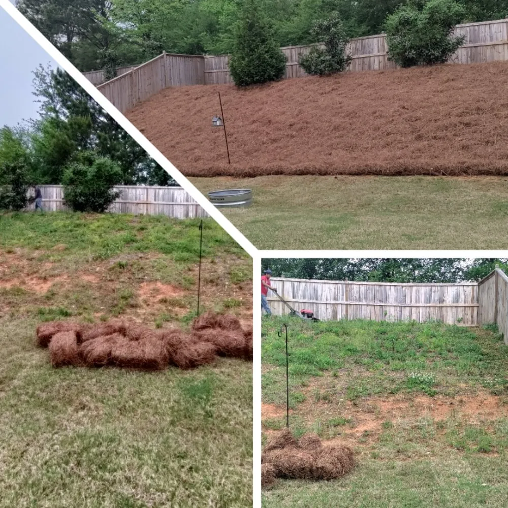 Affordable yard cleanup service for year-round maintenance in Sugar Hill, GA by Caring Neighbor Landscaping