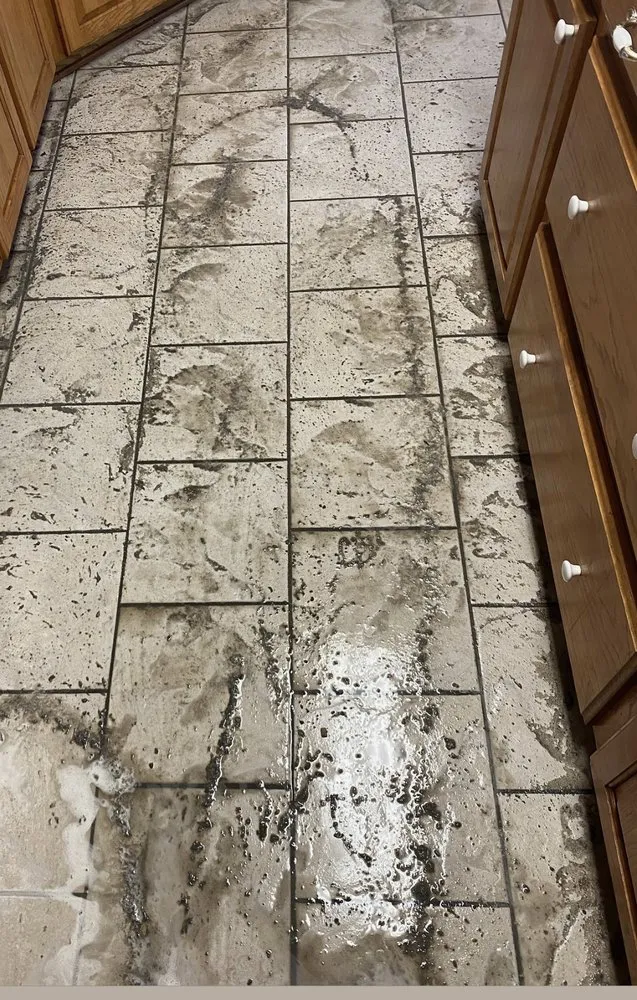 Affordable outdoor landscaping experts serving Baton Rouge, LA - Carl