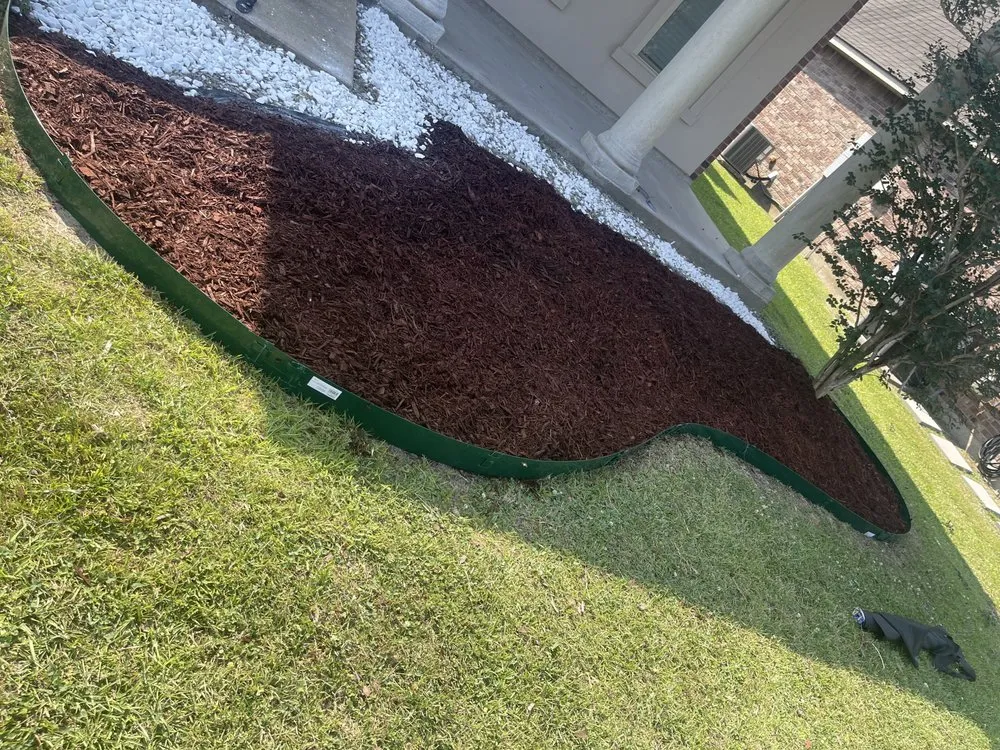 Affordable yard cleanup service in Baton Rouge, LA - Carl