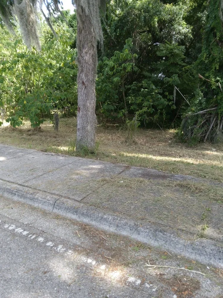 Affordable yard cleanup service for year-round maintenance across Ocala, FL - Carl CM Lawn Care