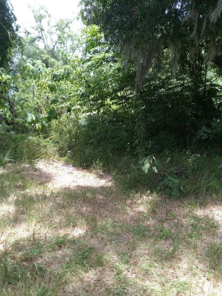 Trusted lawn mowing service experts serving Ocala, FL - Carl CM Lawn Care