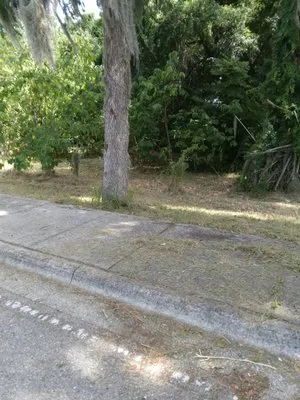 Carl CM Lawn Care Logo