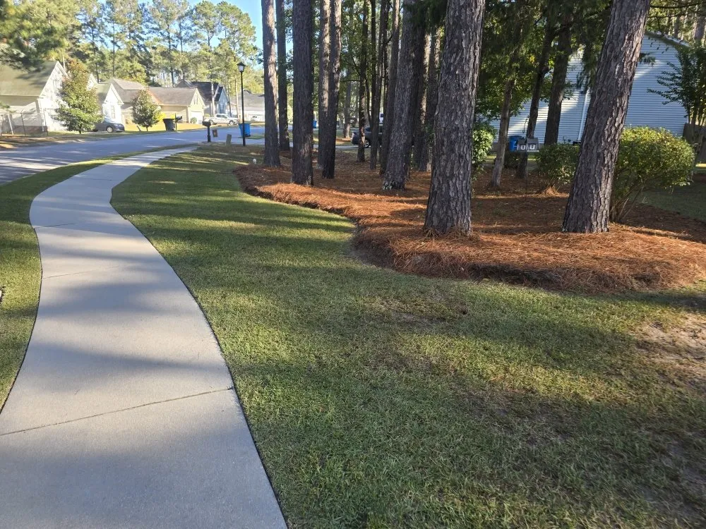 Professional lawn mowing service for outdoor upgrades across Elgin, SC - Carl Pringle Lawn Care
