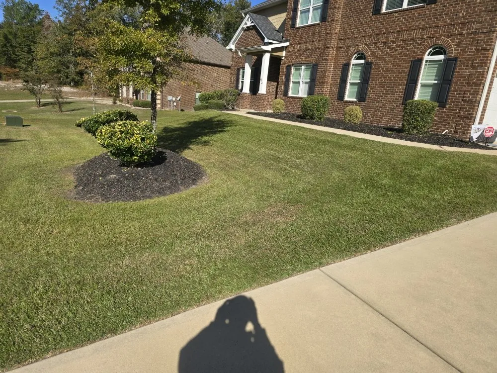 Local yard maintenance for homes in Elgin, SC by Carl Pringle Lawn Care