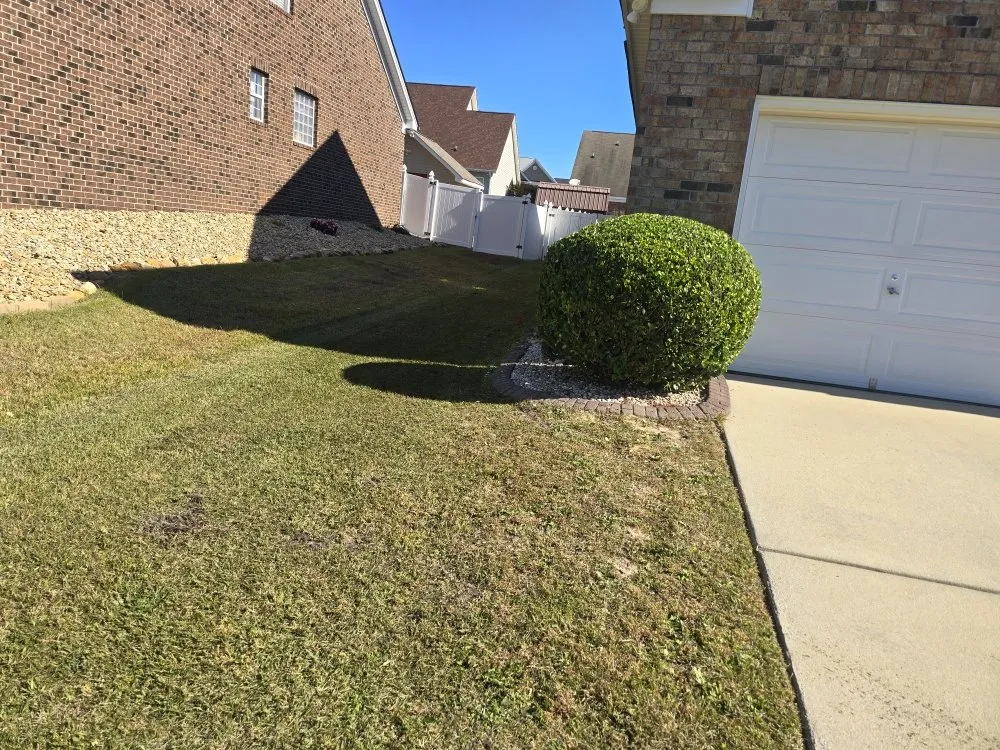 Affordable lawn mowing service for residential properties across Elgin, SC - Carl Pringle Lawn Care