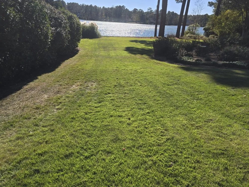Professional yard cleanup service in Elgin, SC by Carl Pringle Lawn Care