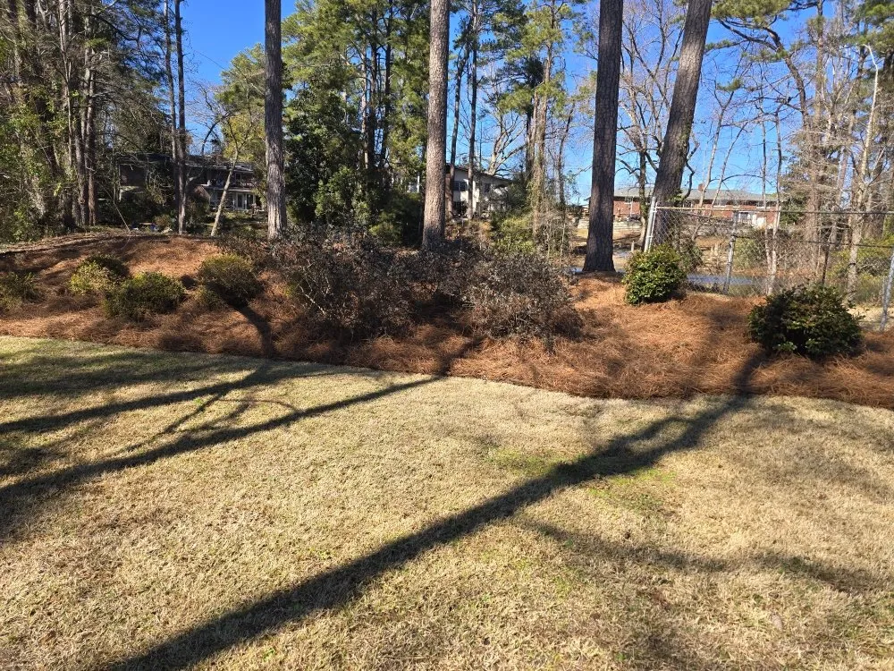 Trusted yard cleanup service for homes across Elgin, SC - Carl Pringle Lawn Care