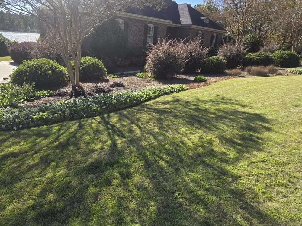 Expert residential landscaping in Elgin, SC - Carl Pringle Lawn Care