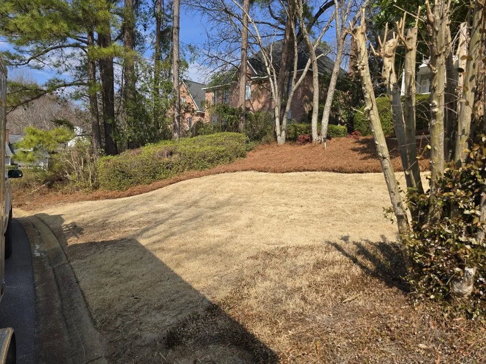 Trusted yard maintenance experts serving Elgin, SC - Carl Pringle Lawn Care