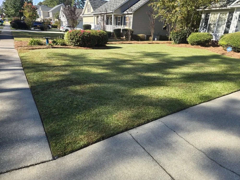 Reliable yard cleanup service for outdoor upgrades across Elgin, SC - Carl Pringle Lawn Care