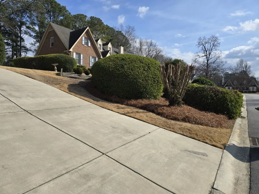 Professional yard cleanup service experts serving Elgin, SC - Carl Pringle Lawn Care