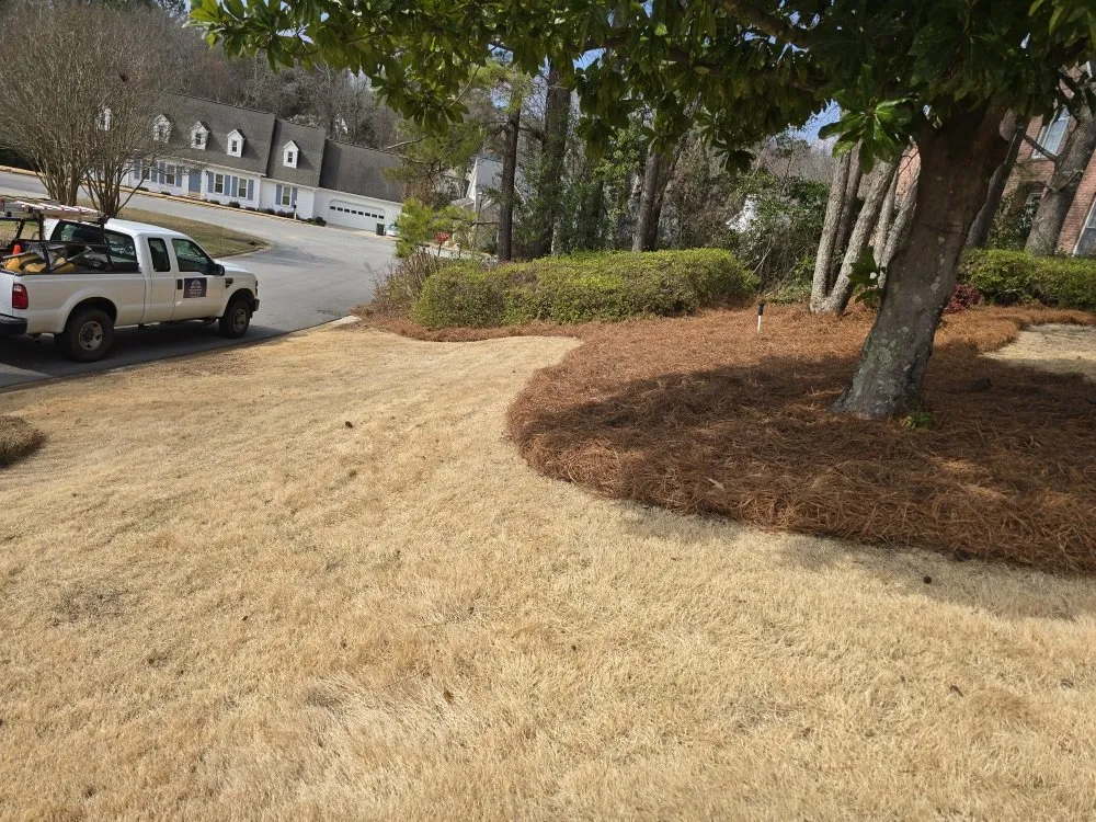 Expert lawn care service for beautiful yards across Elgin, SC - Carl Pringle Lawn Care