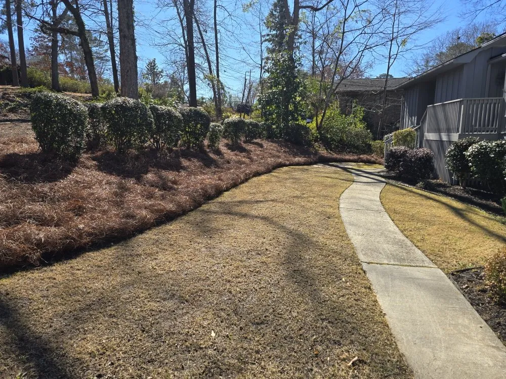 Local landscape design in Elgin, SC by Carl Pringle Lawn Care