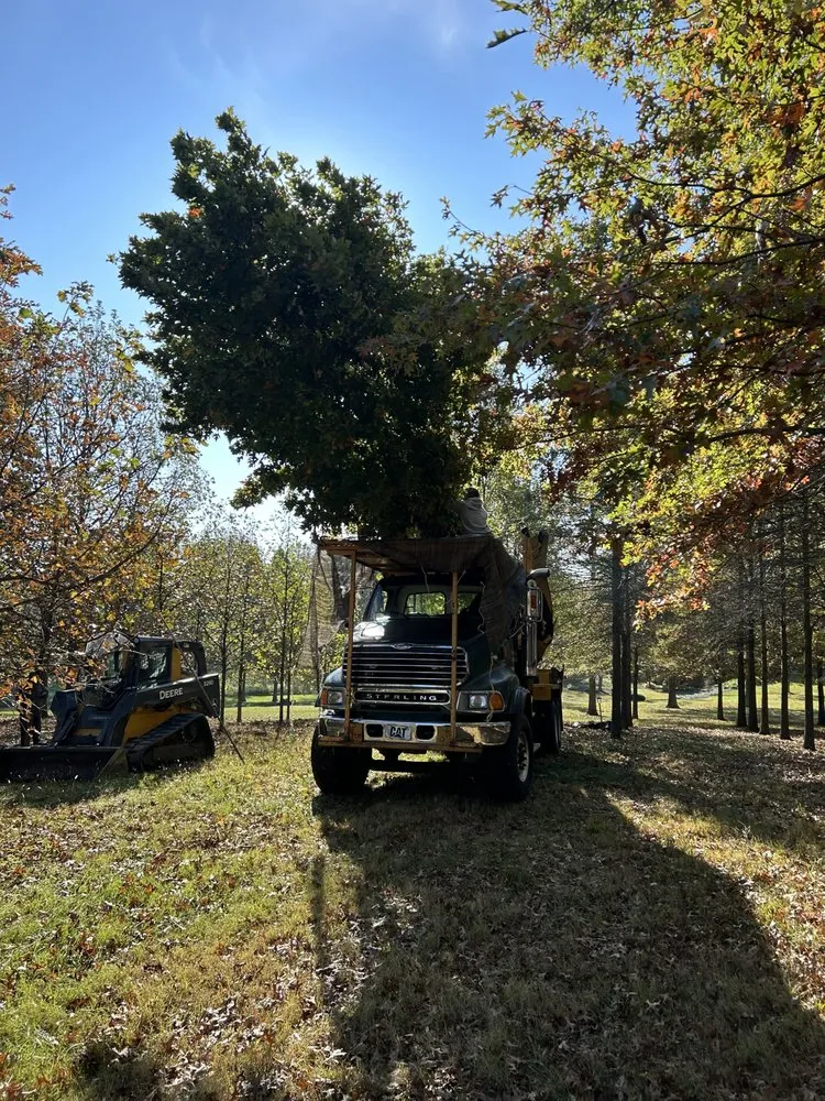 Top-rated lawn mowing service for outdoor upgrades across Fisherville, KY - Carl Ray Landscape Nursery