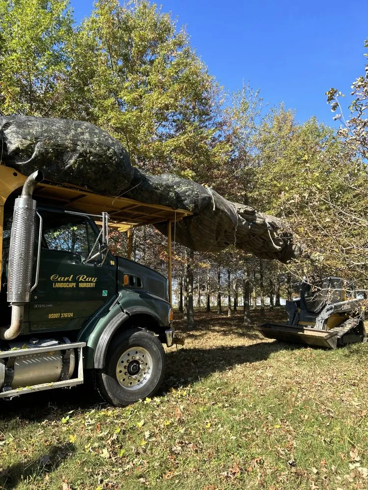 Custom yard maintenance in Fisherville, KY by Carl Ray Landscape Nursery