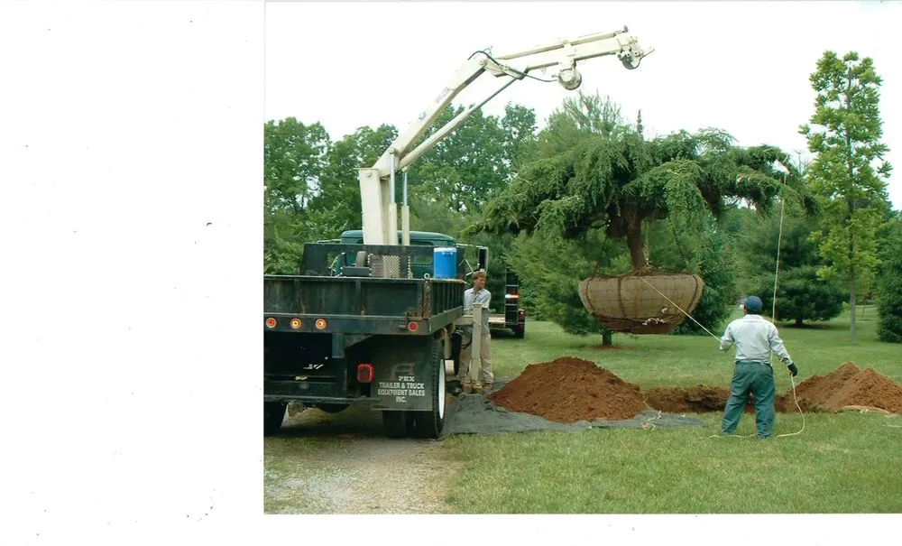 Professional lawn care service for year-round maintenance across Fisherville, KY - Carl Ray Landscape Nursery