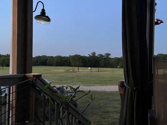 Carla’s Pro Gig Services