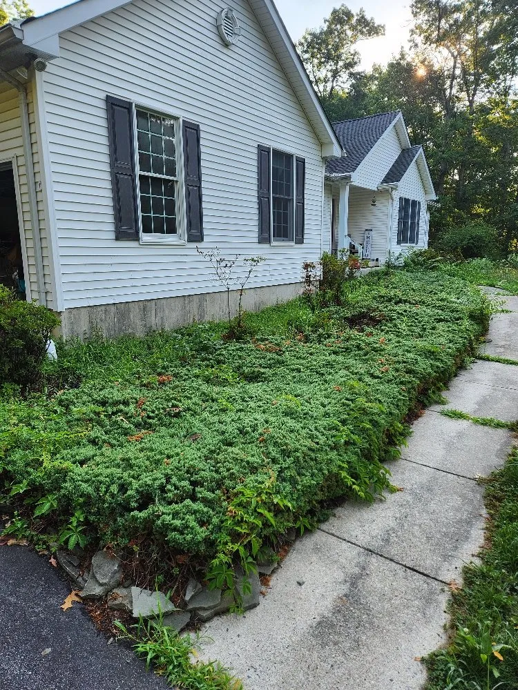 Expert lawn mowing service in Buena, NJ - Carles Landscaping