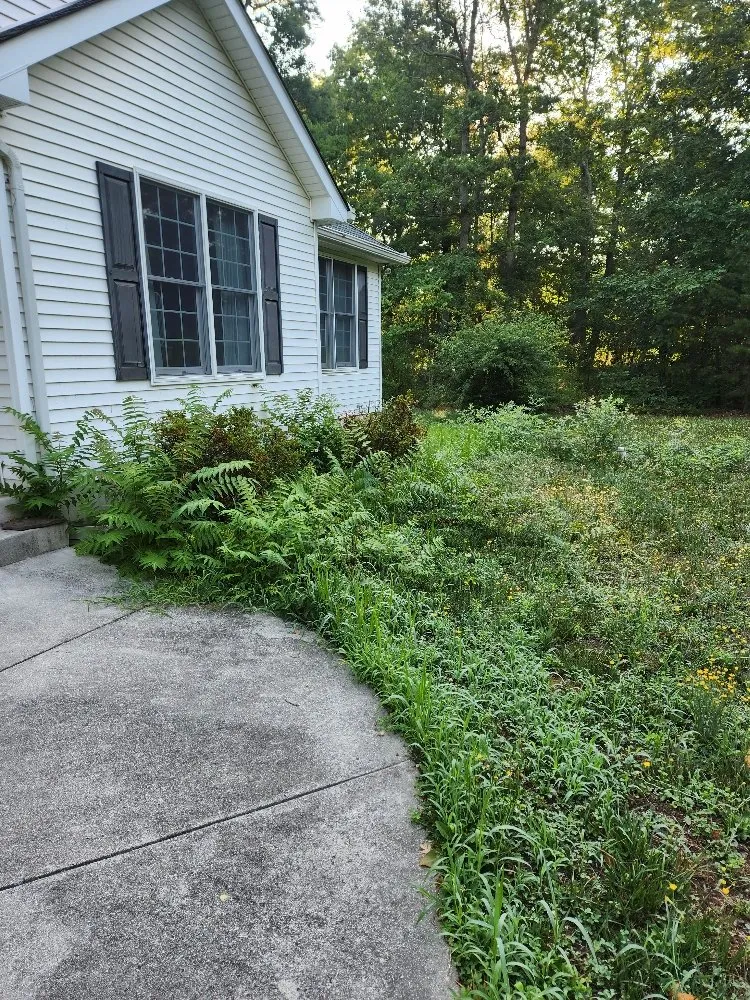 Custom outdoor landscaping experts serving Buena, NJ - Carles Landscaping