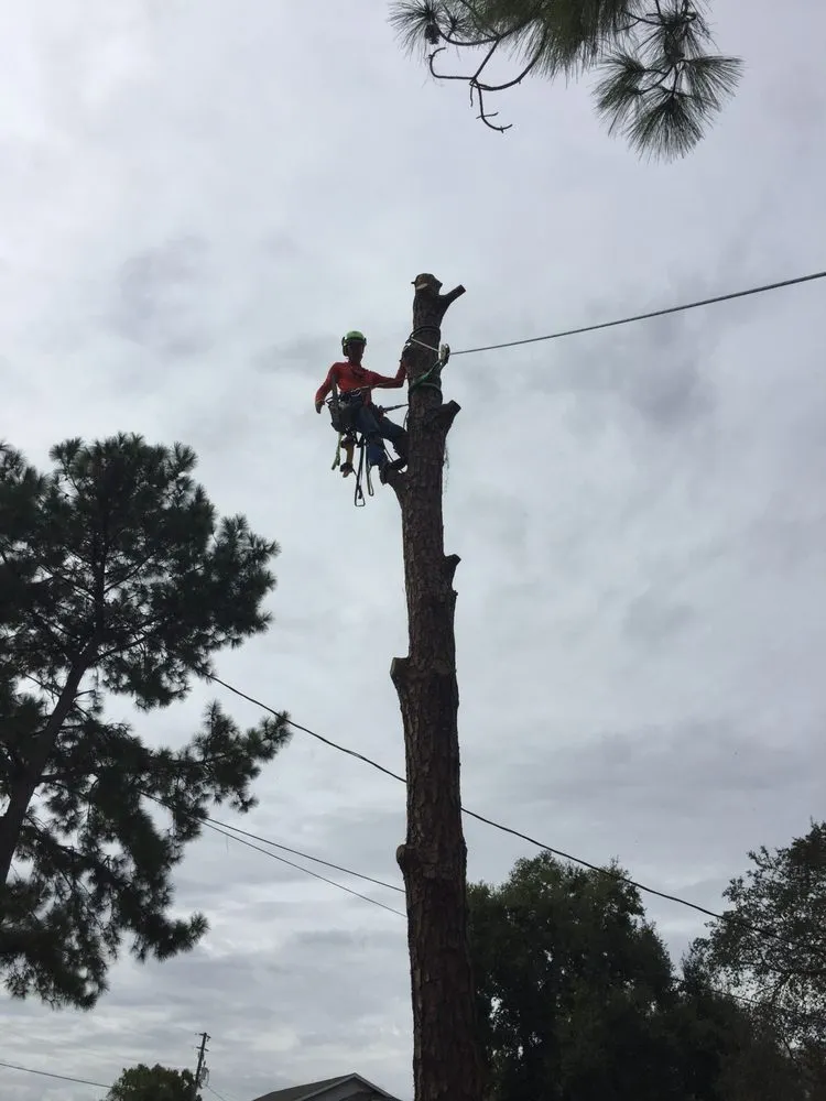 Trusted garden landscaping experts serving Clermont, FL - Carleton Outdoor