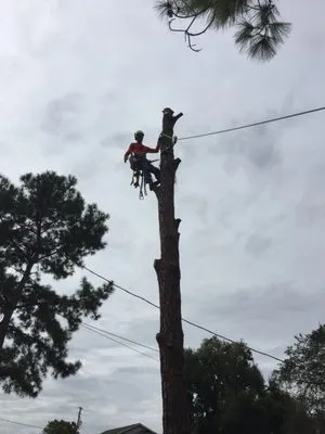 Carleton Outdoor Logo