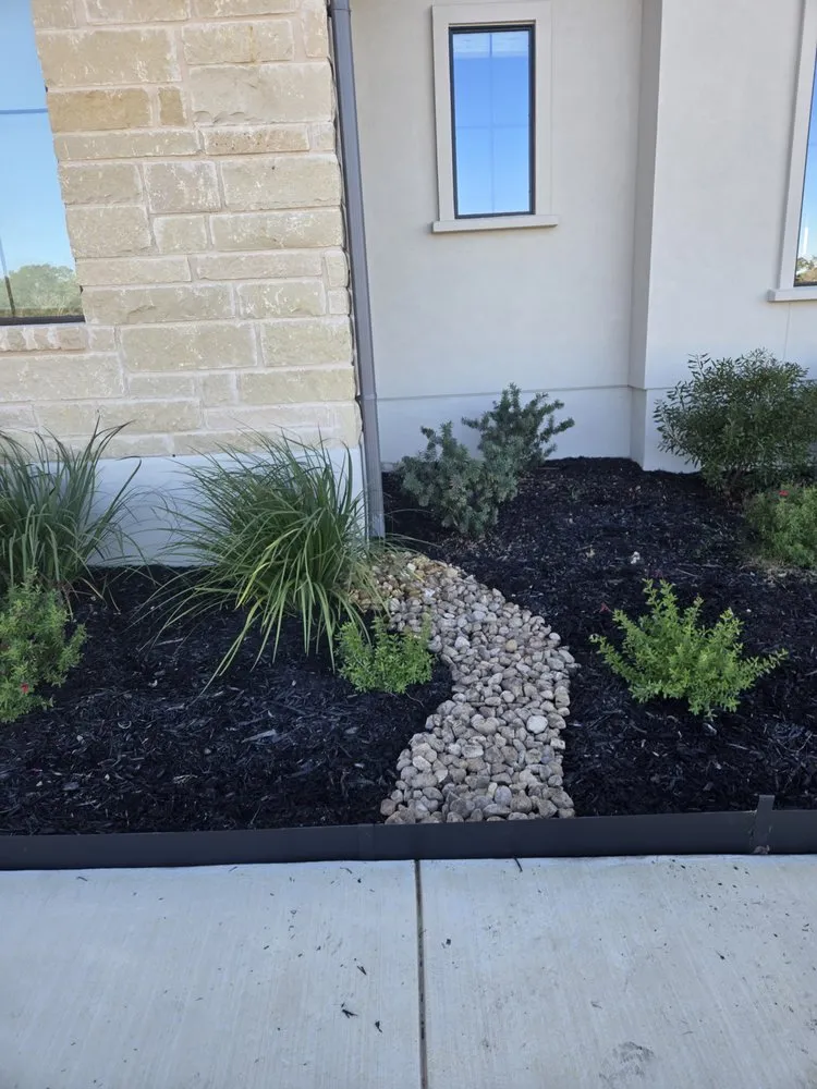 Trusted yard cleanup service for year-round maintenance across Canyon Lake, TX - Carlie's Grass & Tree