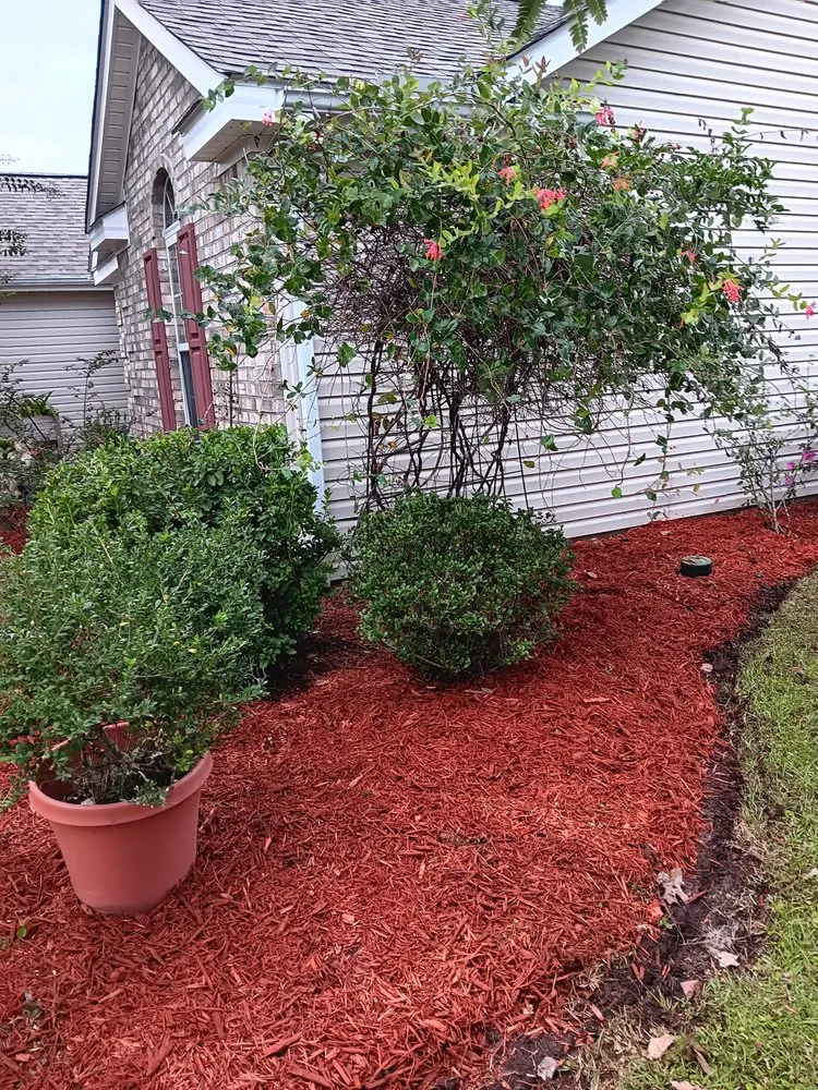 Expert yard maintenance with custom design across Myrtle Beach, SC - CarLin Home and Lawncare