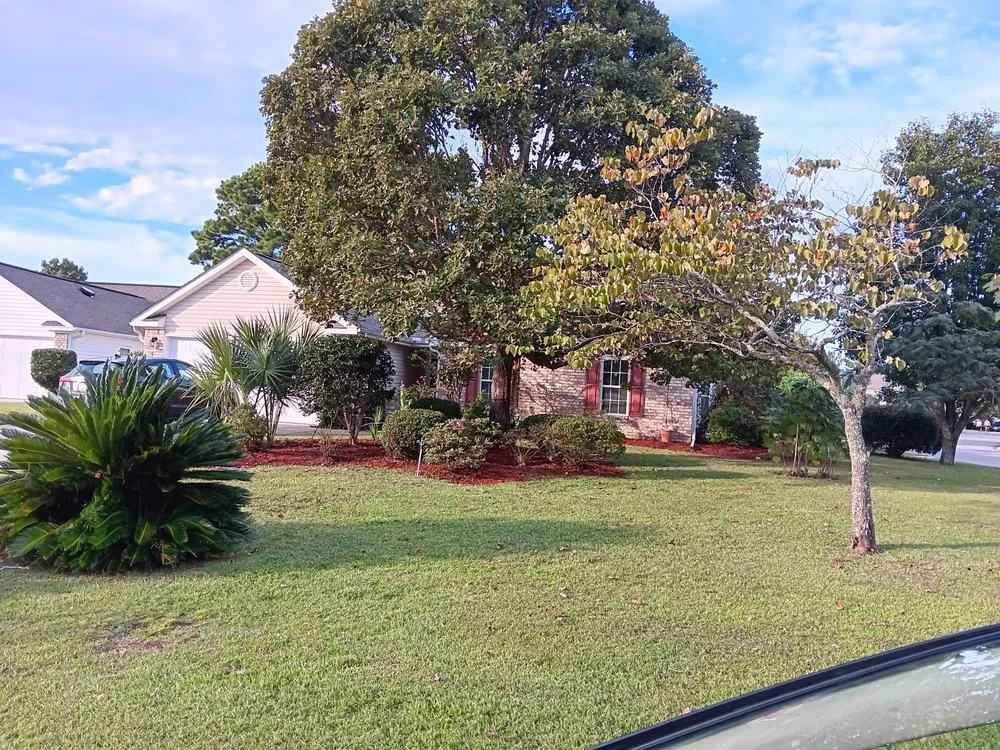 Affordable landscaping services experts serving Myrtle Beach, SC - CarLin Home and Lawncare