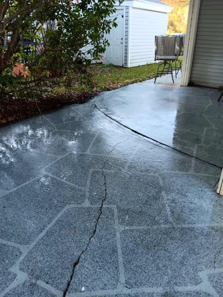 Local landscaping services experts serving Myrtle Beach, SC - CarLin Home and Lawncare