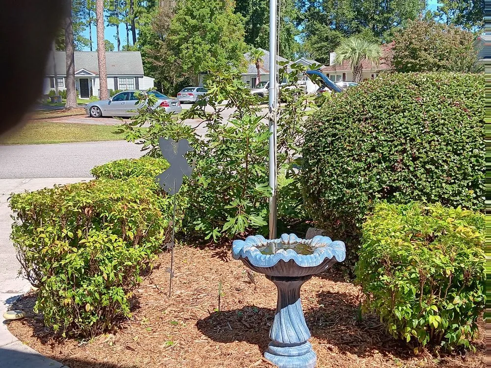 Top-rated lawn mowing service for beautiful yards in Myrtle Beach, SC by CarLin Home and Lawncare