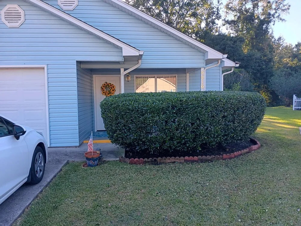 Trusted yard maintenance near you in Myrtle Beach, SC by CarLin Home and Lawncare