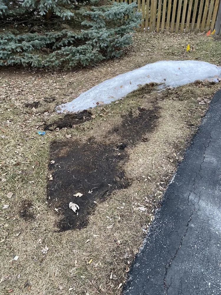 Reliable landscape design in Tinley Park, IL - Carlin-Moran Landscaping