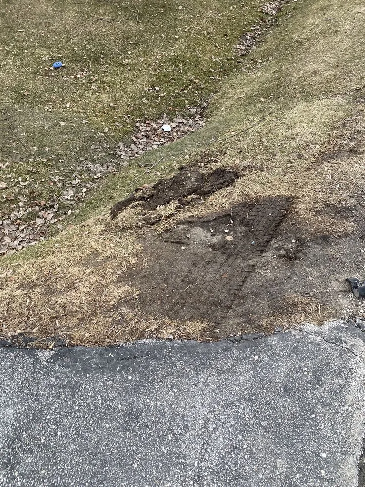 Affordable yard maintenance near you across Tinley Park, IL - Carlin-Moran Landscaping