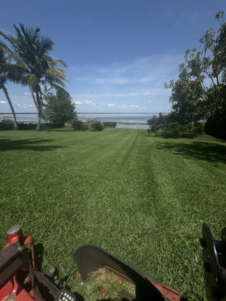 Professional yard cleanup service for homes in Lake Placid, FL by Carlini Lawn Care