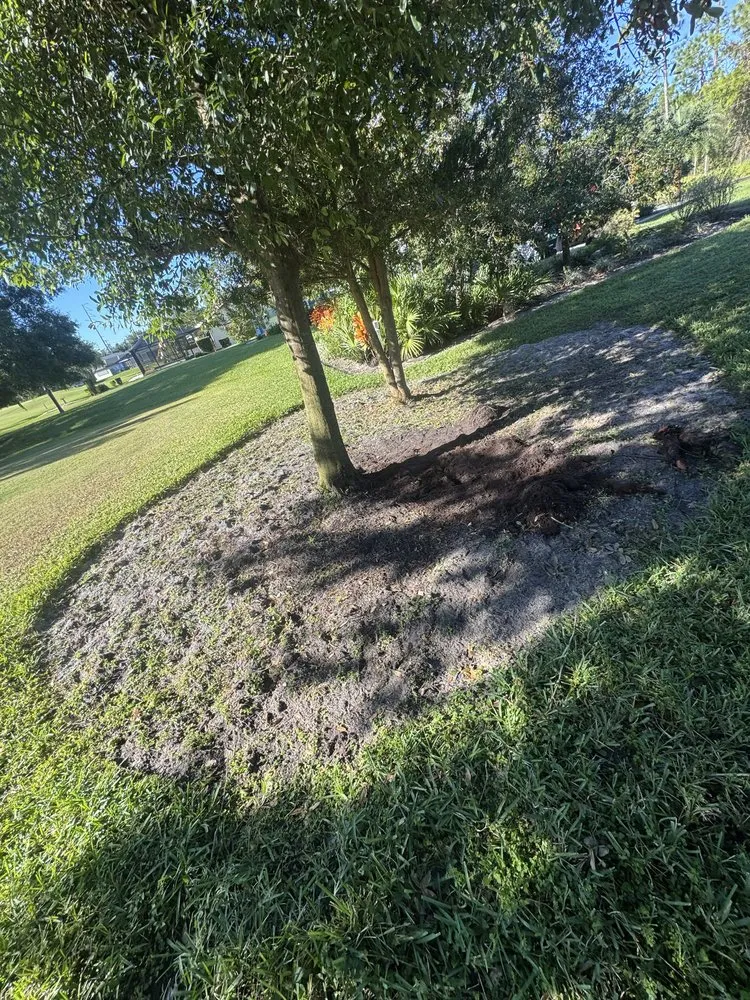 Trusted lawn mowing service experts serving Lake Placid, FL - Carlini Lawn Care