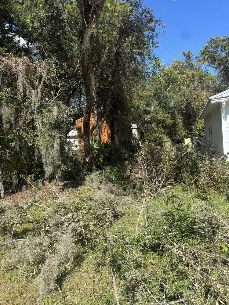 Top-rated lawn mowing service with custom design in Lake Placid, FL by Carlini Lawn Care