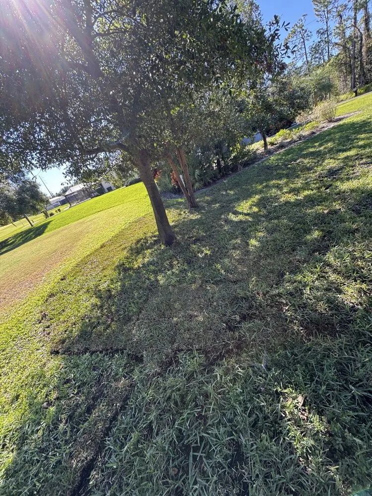 Reliable garden landscaping experts serving Lake Placid, FL - Carlini Lawn Care