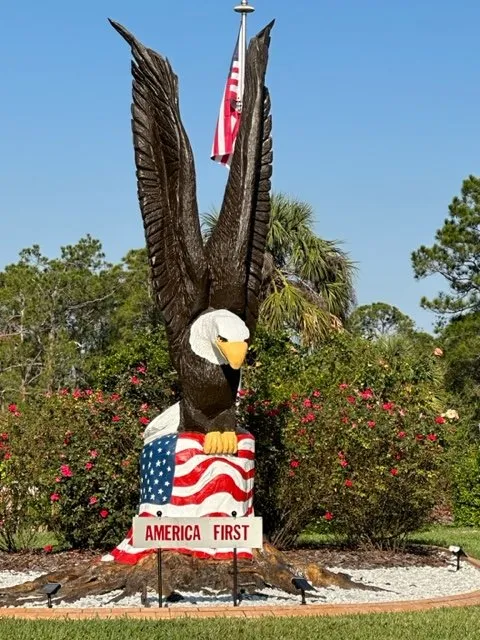 Expert yard cleanup service in Lake Placid, FL - Carlini Lawn Care