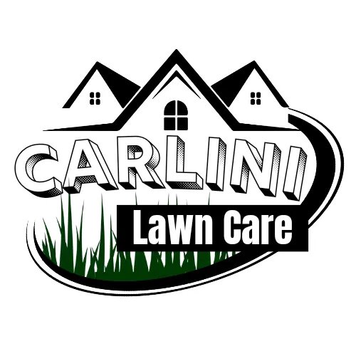 Affordable yard maintenance in Lake Placid, FL by Carlini Lawn Care