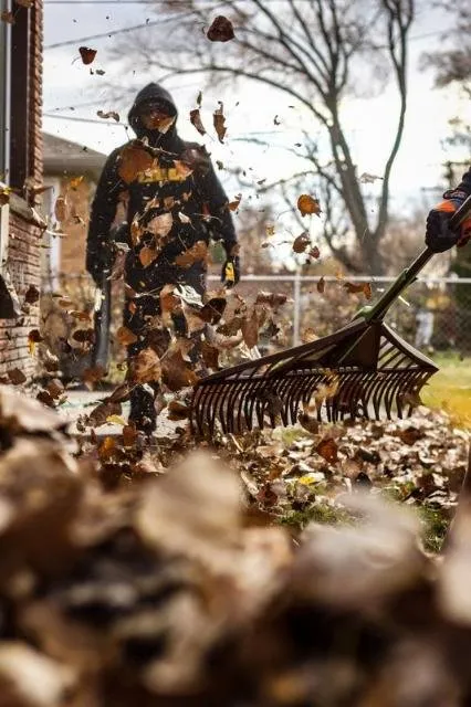 Professional yard maintenance near you across Detroit, MI - Carlisle Family Landscaping