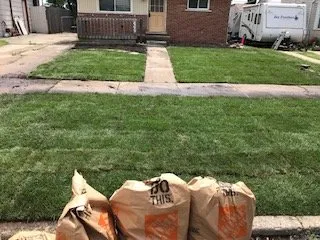 Reliable landscaping services experts serving Detroit, MI - Carlisle Family Landscaping